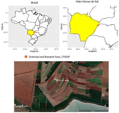 Nanozinc and plant growth-promoting bacteria improve biochemical and metabolic attributes of maize in tropical Cerrado